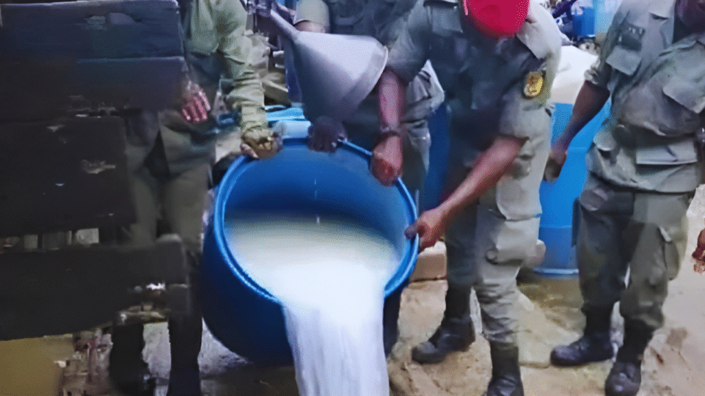 Health Alert: Fake Palm Wine Factory Using Cassava Saccharin and Cockroaches Busted in Cameroon | Gossip News Now