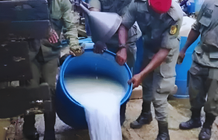 Health Alert: Fake Palm Wine Factory Using Cassava Saccharin and Cockroaches Busted in Cameroon | Gossip News Now