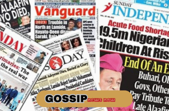 Nigerian Newspapers: Top Headlines For Today Friday November 7 2025 - Gossip News Now