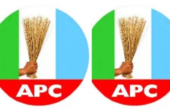 APC Governors