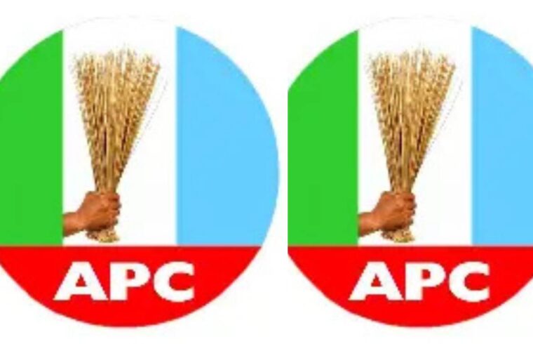 APC Governors