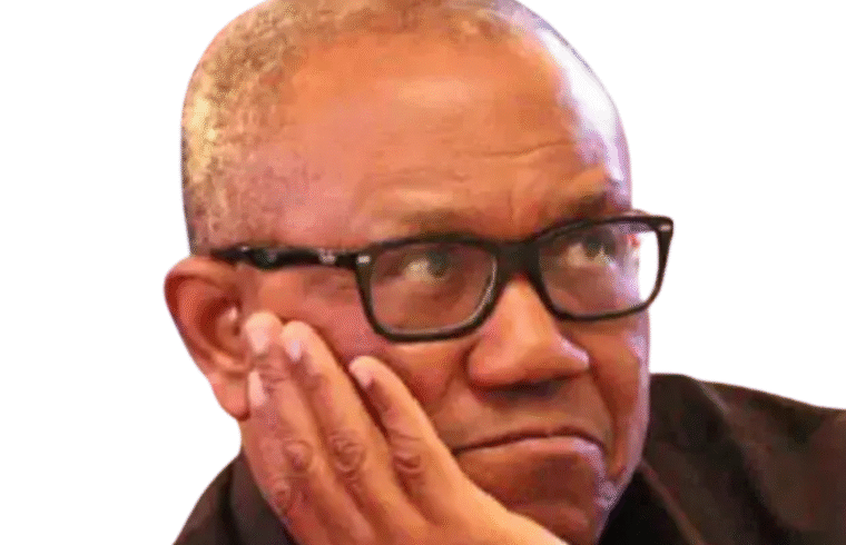 ‘Hardship Mentally Affecting Nigerians’ — Peter Obi Laments Growing Mental Health Crisis | Gossip News Now