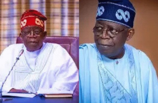 Tinubu Poised To Secure Middle Belt Victory In 2027 – Sam Amadi | Gossip News Now