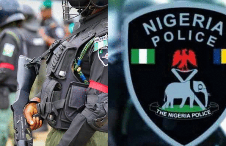 Police Arrest 13 More Suspects Over ₦4.8 Billion Theft at Kainji Power Plant | Gossip News Now