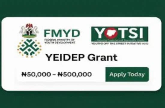 FG Reopens YEIDEP Portal, Invites Youths to Apply for ₦500,000 Business Grant - Gossip News Now