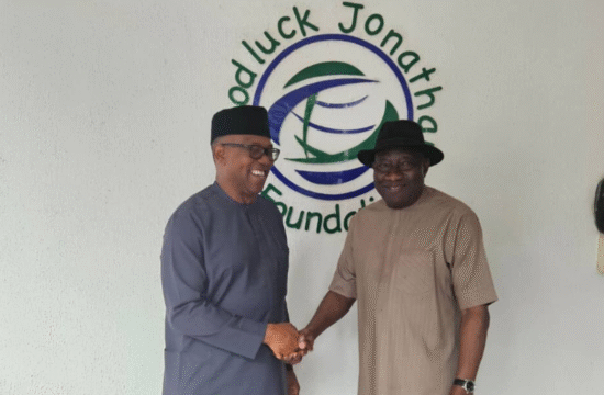 2027: Peter Obi Denies Forming Alliance With Jonathan To Unseat Tinubu | Gossip News Now