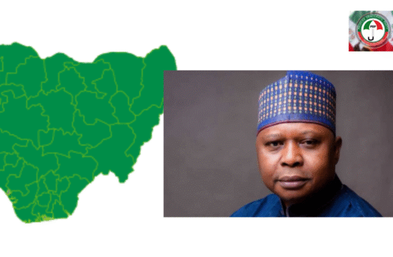 PDP State Chairmen Pledge Continued Support for Turaki Vow to ‘Soldier On’ - Gossip News Now