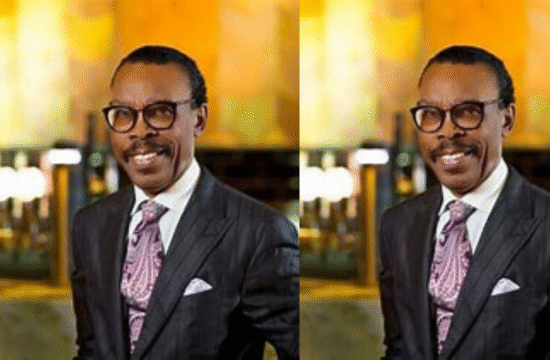 No Need for Panic Over Tinubu’s ₦1.15 Trillion Loan Request – Rewane Assures Nigerians - Gossip News Now