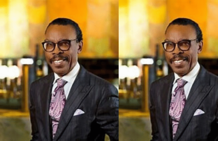 No Need for Panic Over Tinubu’s ₦1.15 Trillion Loan Request – Rewane Assures Nigerians - Gossip News Now