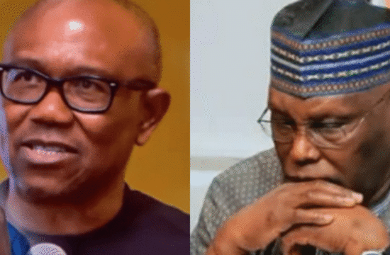 ADC Clarifies Absence of Obi and Atiku at Secretariat Unveiling - Gossip News Now
