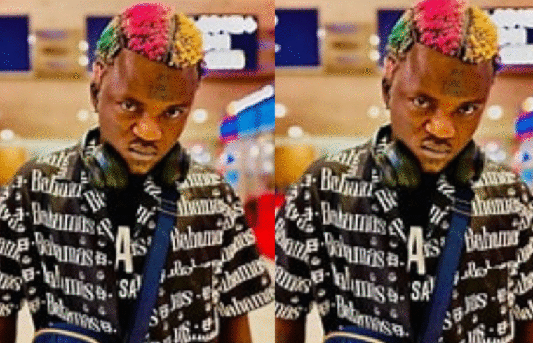 I Want To Understand My Music Royalties Better – Portable Announces Plans To Return To School - Gossip News Now