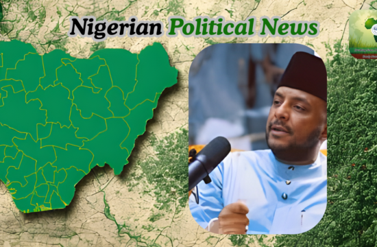 APC Chieftain Claims Buhari’s Administration Was Marred by Widespread Cabals - Gossip News Now