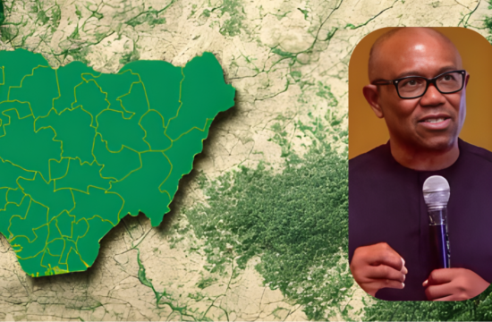 Peter Obi Criticises Federal Government Over Alleged Distribution of Luxury Vehicles to Political Coordinators |-Gossip News Now