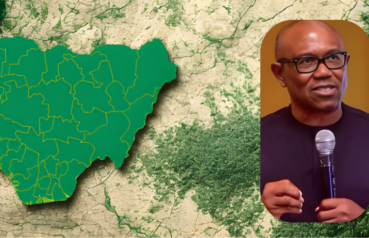 Peter Obi Criticises Federal Government Over Alleged Distribution of Luxury Vehicles to Political Coordinators |-Gossip News Now