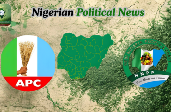 ‘Having All Governors Does Not Assure Victory’ – NNPP Takes Swipe At APC - Gossip News Now