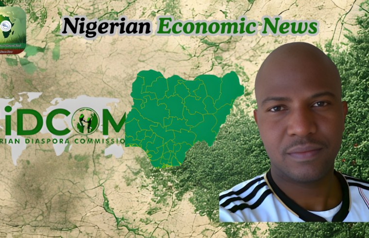 NIDCOM Clarifies Efforts To Free Nigerian On Saudi Death Row - Gossip News Now