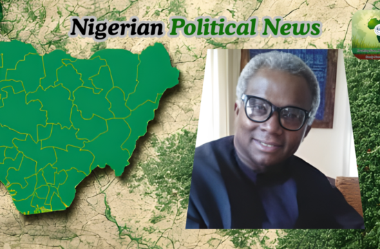 ADC Risks PDP-Style Crisis If It Ignores Zoning Principles — Okechukwu - Gossip News Now