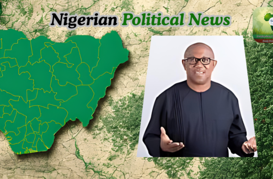Labour Party Plays Down Reports of Peter Obi’s Planned Move to ADC - Gossip News Now