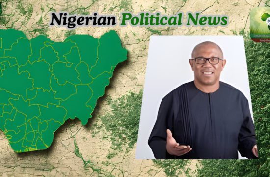 Peter Obi: Nobody Is Stepping Down for Me in ADC Ahead of 2027 - Gossip News Now