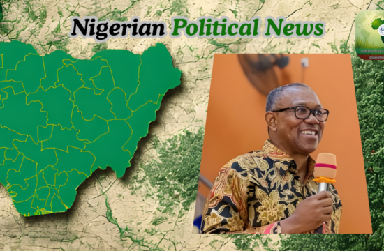 Peter Obi Rules Out Vice-Presidential Bid Ahead of 2027 - Gossip News Now
