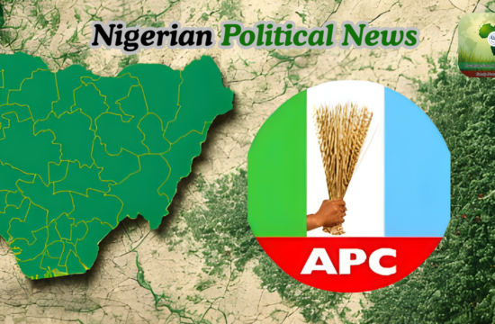 APC Suspends Birnin Kebbi LG Chairman Over Alleged Abuse of Office - Gossip News Now