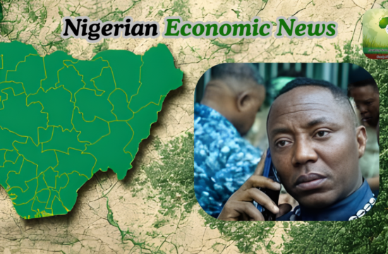 Anthony Joshua Accident Highlights Nigeria’s Failures Says Omoyele Sowore - Gossip News Now