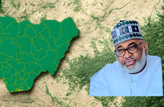 Minister Sues Social Media Accuser Over ₦16.5bn Bridge Diversion Claims - Gossip News Now