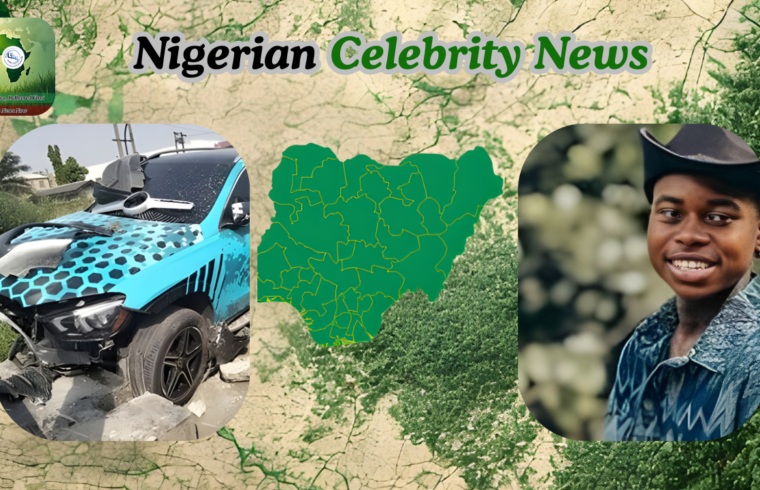 Peller Apologizes After Car Crash: “I Did Not Act Intentionally You Can Call Me Names” - Gossip News Now