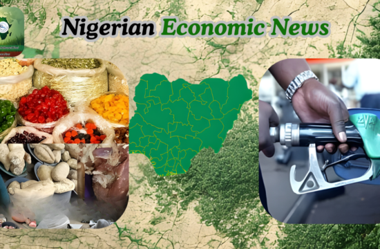 CBN Forecasts Inflation Drop to 12.94% in 2026 as Food and Fuel Prices Ease - Gossip News Now