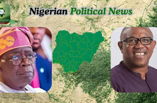 Presidency Takes Swipe at Peter Obi Over Switch to ADC - Gossip News Now