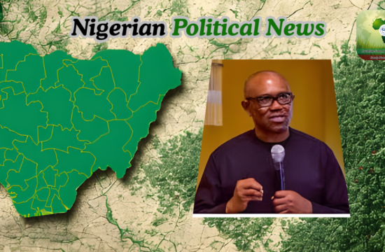 ADC Presidential Ticket Won’t Be Easy for Peter Obi — Former National Chairman Nwosu - Gossip News Now