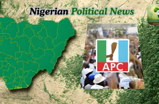 NNPP Says Governors’ Mass Defection to APC Is Not About Good Governance — Johnson - Gossip News Now
