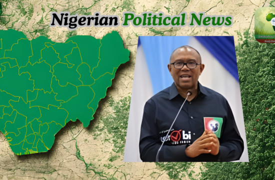 We Will Support Peter Obi Only as President Not as Vice President — Obidient Movement - Gossip News Now