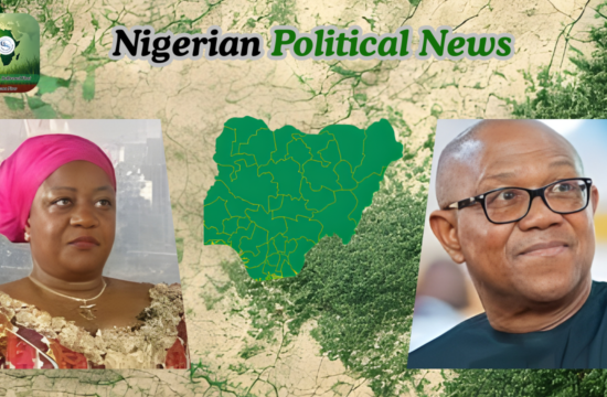 “Peter Obi and the Obidient Movement Understand” — Buhari’s Ex-Aide Speaks on ADC and 2027 Race - Gossip News Now