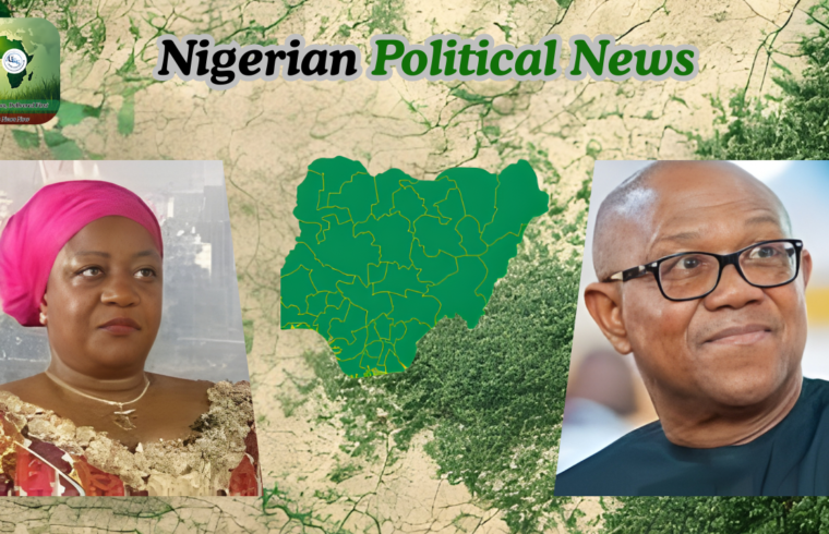 “Peter Obi and the Obidient Movement Understand” — Buhari’s Ex-Aide Speaks on ADC and 2027 Race - Gossip News Now