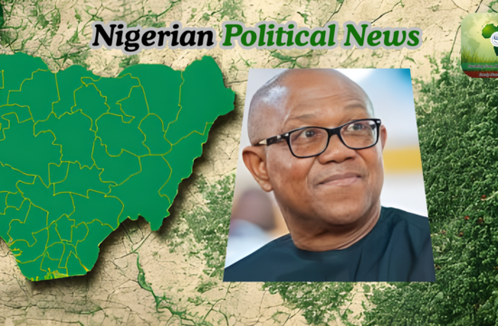 No Talks on Peter Obi Serving as Atiku’s Running Mate — Tanko - Gossip News Now
