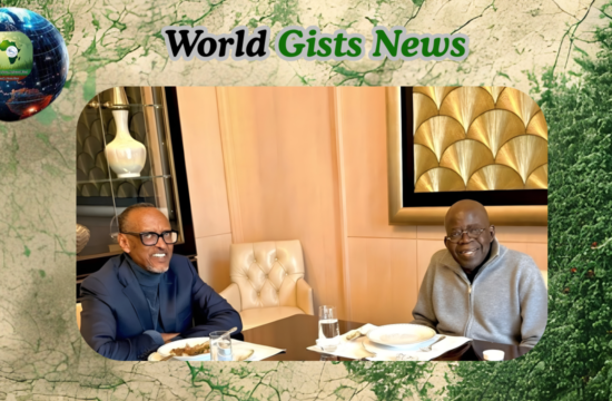 ‘Not Correct’ — Presidency Refutes AI Claims on Tinubu-Kagame Meeting Image - Gossip News Now