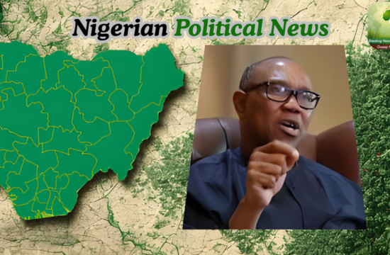 Adeniyi: Peter Obi May Quit ADC If Denied 2027 Presidential Ticket - Gossip News Now