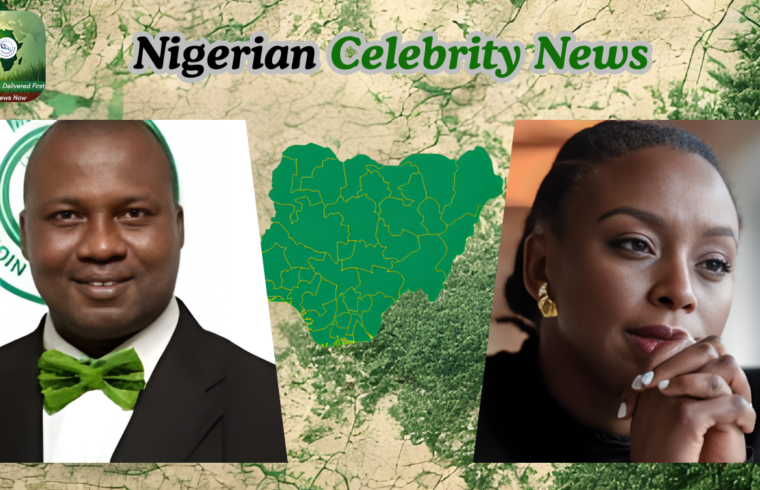 Ex-NMA President Urges Caution Against Media Trial in Chimamanda Adichie-Euracare Case - Gossip News Now