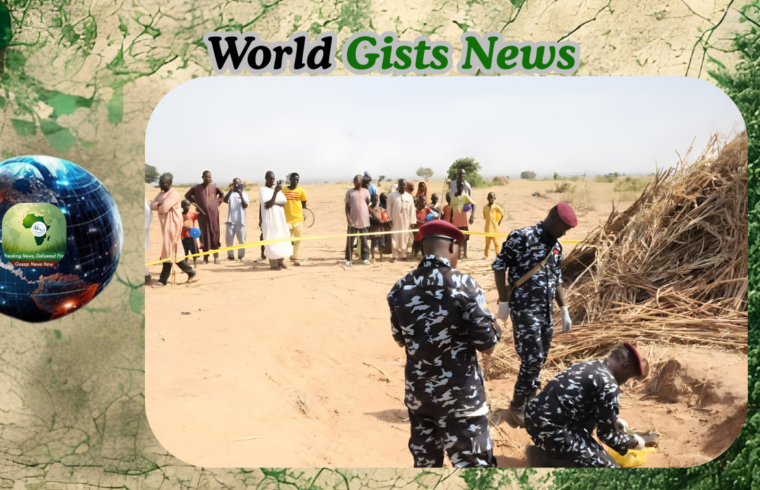 Police Explain Why Details of U.S. Strikes in Nigeria Are Withheld - Gossip News Now