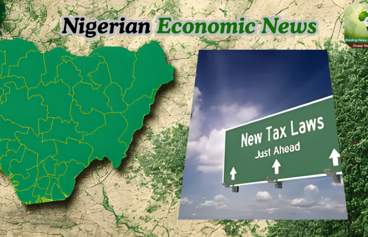 Experts Urge Stronger Agency Cooperation as FG Suspends New Tax Law Guidelines - Gossip News Now