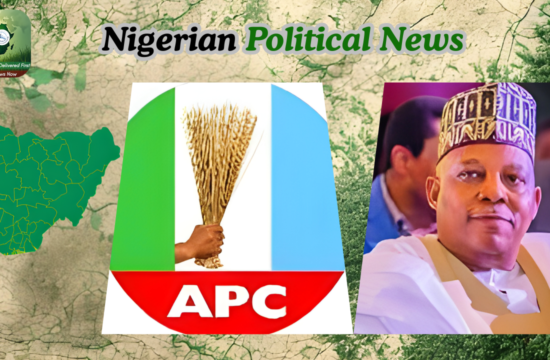 APC Spokesman Dismisses Speculations Over Shettima’s Position as Misguided - Gossip News Now