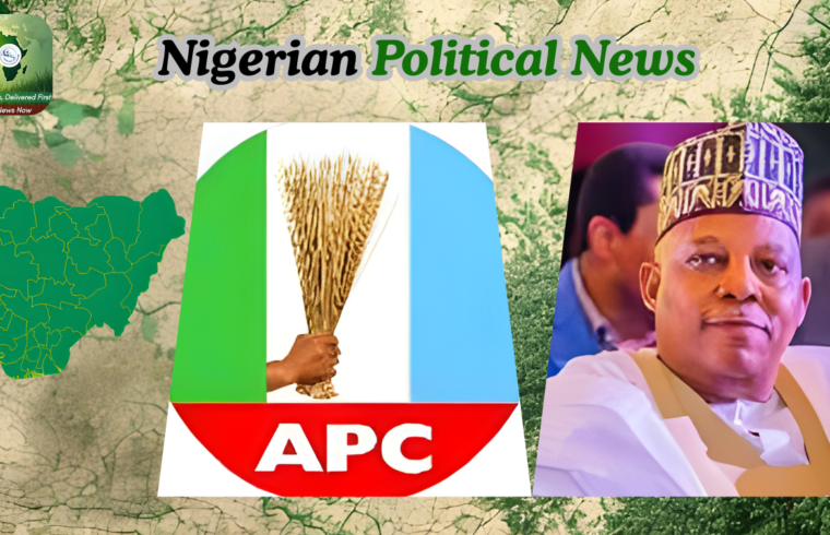 APC Spokesman Dismisses Speculations Over Shettima’s Position as Misguided - Gossip News Now