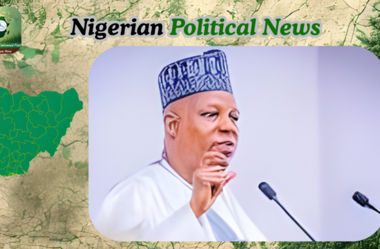 APC Deputy National Chairman Says Shettima Banner Omission Likely an Oversight - Gossip News Now