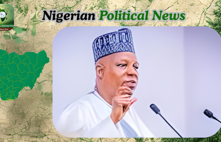 APC Deputy National Chairman Says Shettima Banner Omission Likely an Oversight - Gossip News Now