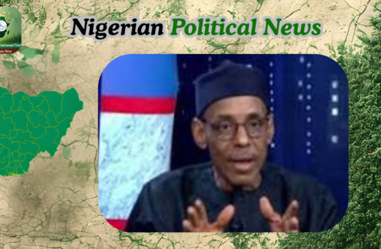 Baba-Ahmed: APC’s Strength Lies in Power Not Popular Roots - Gossip News Now