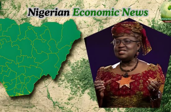 Nigeria Must Attract ‘China+1’ Investors to Boost Jobs Cut Imports — WTO DG Okonjo-Iweala - Gossip News Now