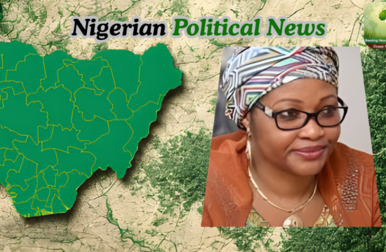 Defections: Their Actions May Be Linked To Hidden ‘Sins’ – Nenadi Usman - Gossip News Now