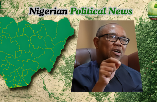 Why Obidients Insist On ‘Peter Obi Or Nothing’ — Ijeh Explains - Gossip News Now