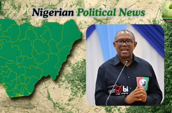 Those Attacking Atiku Other ADC Figures Are Criminals Not True Obidients – Peter Obi - Gossip News Now